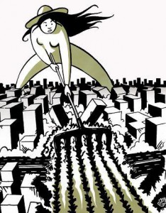 jornaleros2 Jornaleros2 234x300